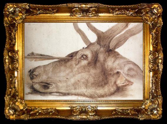 framed  Albrecht Durer The Head of a stag Killed by an arrow, ta009-2